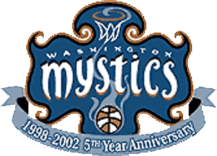 Washington Mystics 2002 Anniversary Logo iron on heat transfer